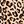 Brown Leopard