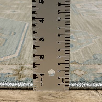StyleHaven Marlowe Bohemian Old World Inspired Area Rug