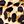 Brown Leopard