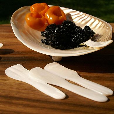 Shell Spreaders - Set of 4