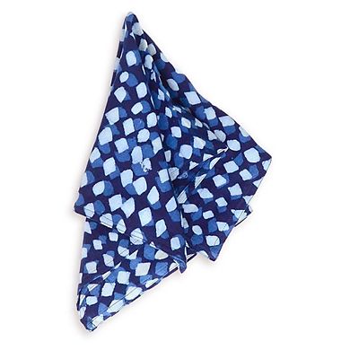 Artisan Printed Cloth Napkins Set of 4