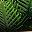 Dark Green Gray Green