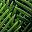 Dark Green Green White