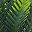 Green White Gray Green