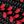 Black Red