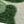 Army Green Camouflage