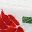 White Red Rose