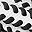 White Black