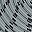 Light Grey Black