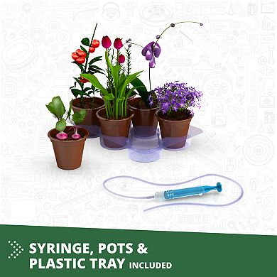 Engino Botanic Laboratory 4-Models Educational Toy Structure Brick Building Set