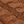 Chestnut