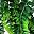 Greenleaf Greenpersian