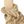 Jute