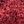 Claret