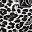 Leopard Black
