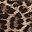 Leopard Brown