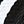 Blackflatbucklestriped