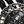 Black White Spot