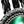 Clear Green