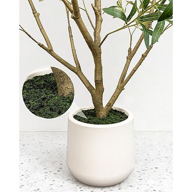 Artificial Olive Tree 5FT - Tall Faux Olive Trees Indoor with White Planter