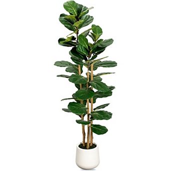 Artificial Fiddle Leaf Fig Tree in Modern White Planter, 5ft Large Fake Tree with 3 Sturdy Trunks