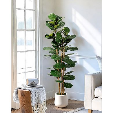 Artificial Fiddle Leaf Fig Tree in Modern White Planter, 5ft Large Fake Tree with 3 Sturdy Trunks