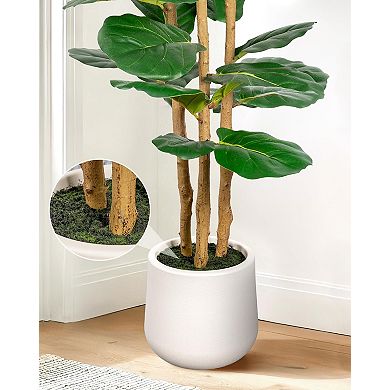 Artificial Fiddle Leaf Fig Tree in Modern White Planter, 5ft Large Fake Tree with 3 Sturdy Trunks