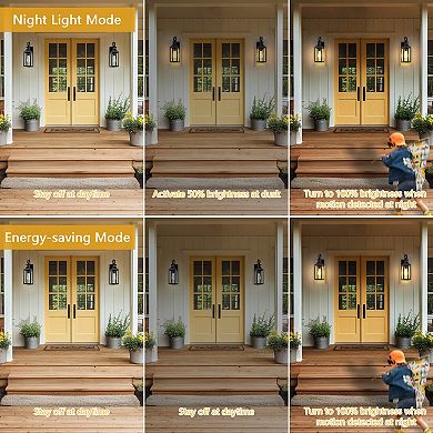 2-Pack 16.2 in. Motion Sensor Dusk-to-Dawn Outdoor Wall Lights, Matte Black, Wet Rated