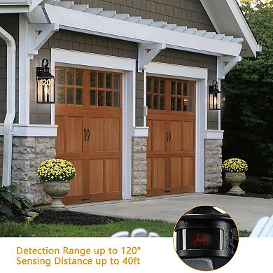2-Pack 16.2 in. Motion Sensor Dusk-to-Dawn Outdoor Wall Lights, Matte Black, Wet Rated