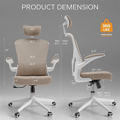 Loheer High Back Ergonomic Mesh Office Chair with Adjustable Headrest and Lumbar Support
