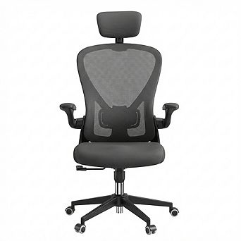 Loheer High Back Ergonomic Mesh Office Chair with Adjustable Headrest and Lumbar Support