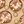 Gold Tone