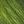 Green Silver Tone