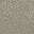 Silver Birch