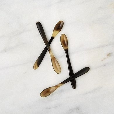 Horn Spice Spoon Set of 4