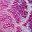 Pink Purple