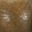 Green Sandalwood