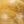 Yellow Sandalwood