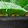 Jade Leaf Bright Green