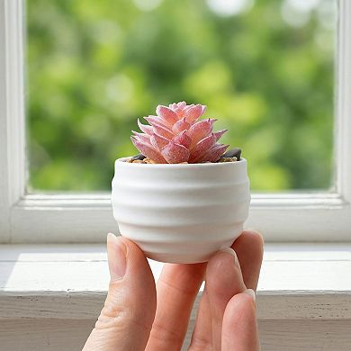 Gothic Humanoid Artificial Succulent Sitting Person Mini Faux Greenery for Shelf Desk