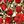 Gold Red
