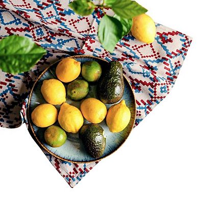 Dabu Block Print Napkins Set of 4