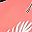 Pink Flower