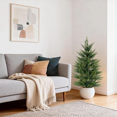 2 Pcs Artificial Pine Trees Realistic 3D Needles Faux Potted Plants in White Round Pots