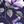 Purple Floral