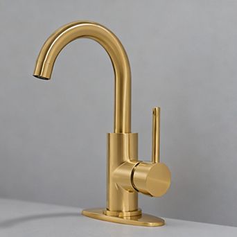 Bathroom Faucet Matte Vanity Pop up Drain Single Hole Deck Plate 360 Swivel Spout