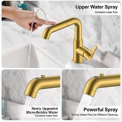 Pull Down Bathroom Faucet Sprayer Single Handle Sink Vanity Bar Gargle Function