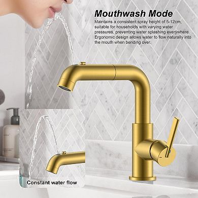 Pull Down Bathroom Faucet Sprayer Single Handle Sink Vanity Bar Gargle Function