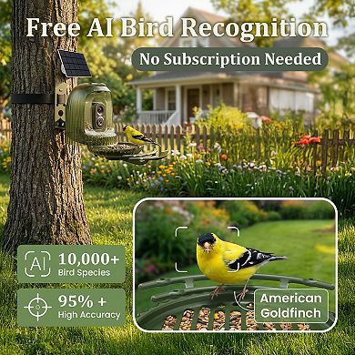 Coolfly x HiXX - 4MP Smart Bird Camera with Solar Night Light and Rotating Tray - 2.5K HD