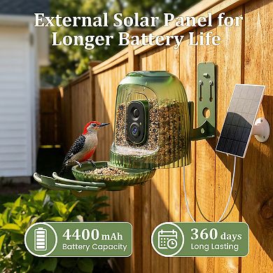Coolfly x HiXX - 4MP Smart Bird Camera with Solar Night Light and Rotating Tray - 2.5K HD